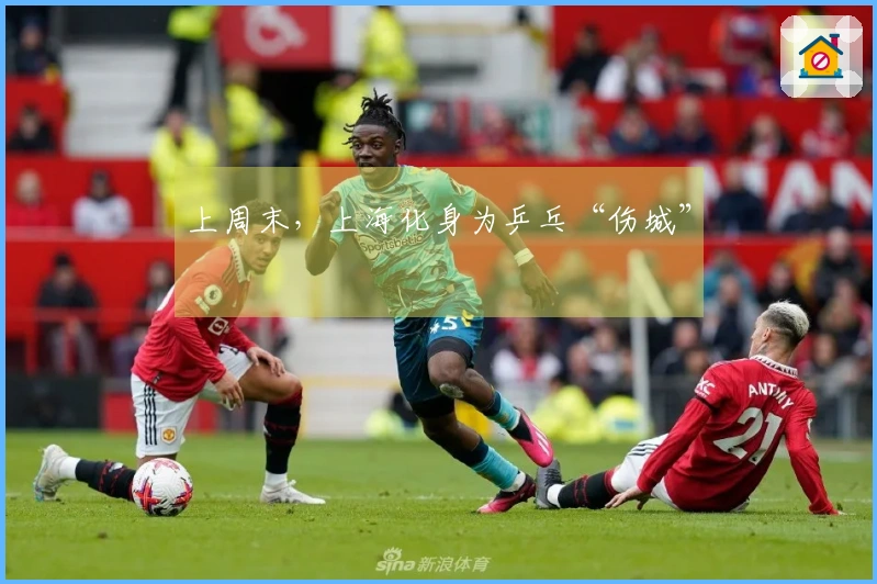 上周末,上海化身为乒乓“伤城”